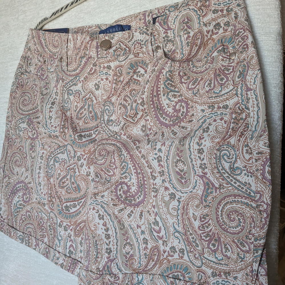 Bandolino Shorts Size 12 High Rise 98% Cotton Paisley Print Brown Pink Blue NWT - Picture 4 of 16